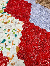Load image into Gallery viewer, Home On The Range, A Finished Baby Quilt