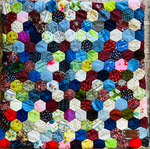 Load image into Gallery viewer, Land and Sea, Finished Pillow Covers