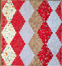 Load image into Gallery viewer, Home On The Range, A Finished Baby Quilt