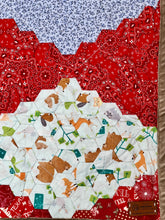 Load image into Gallery viewer, Home On The Range, A Finished Baby Quilt