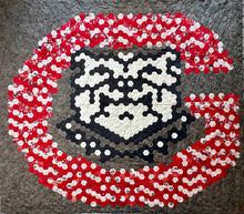 Load image into Gallery viewer, Georgia Bulldogs, A Finished Quilt