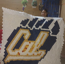 Load image into Gallery viewer, University of California, A Finished Quilt