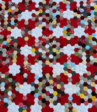 Load image into Gallery viewer, Brave New World, A Finished Quilt