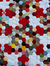 Load image into Gallery viewer, Brave New World, A Finished Quilt