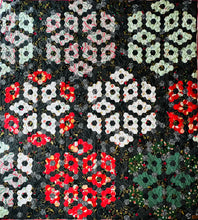 Load image into Gallery viewer, Ode to Joy, A Finished Quilt