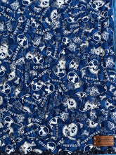 Load image into Gallery viewer, BYU Bound, A Finished Quilt