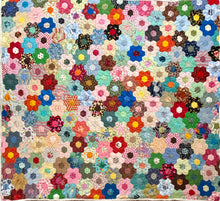 Load image into Gallery viewer, Lovely Acres, A Finished Quilt