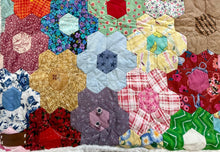 Load image into Gallery viewer, Lovely Acres, A Finished Quilt