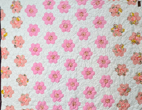 Bashful Daisies, A Finished Quilt