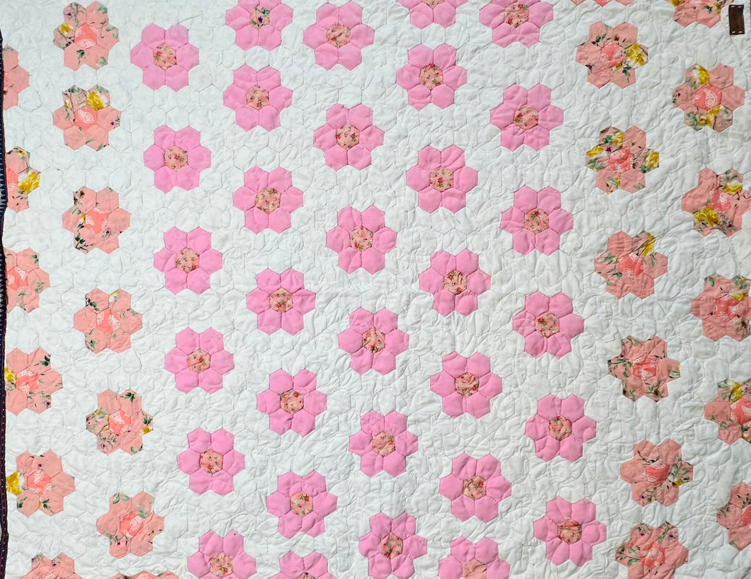 Bashful Daisies, A Finished Quilt