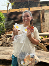 Load image into Gallery viewer, Pink Briar, A Finished Quilt